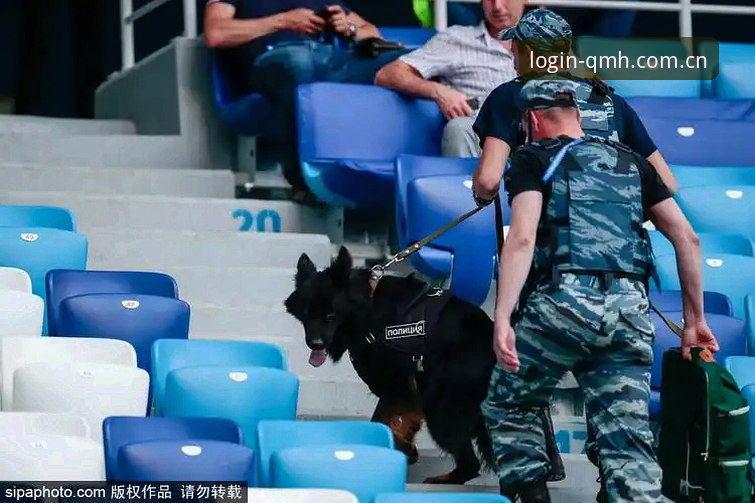 世界杯安保规模骤降背后：英警务外派机制与赛事体验的全维度解析