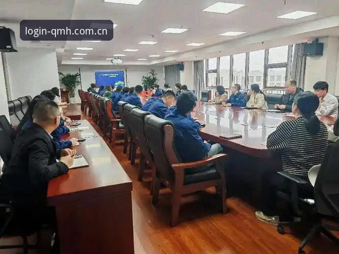 实战经验：资深用户分享球盟会QMH高效服务的使用心得与操作指南